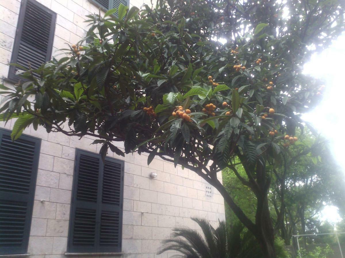 Apartament La Mia